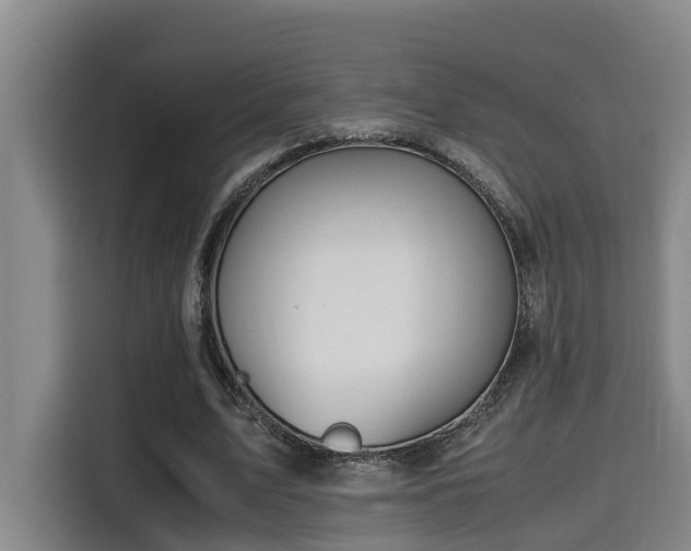 X0000115680583200911191055