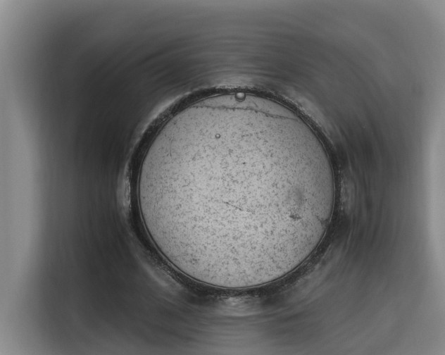 X0000115680584200911191055