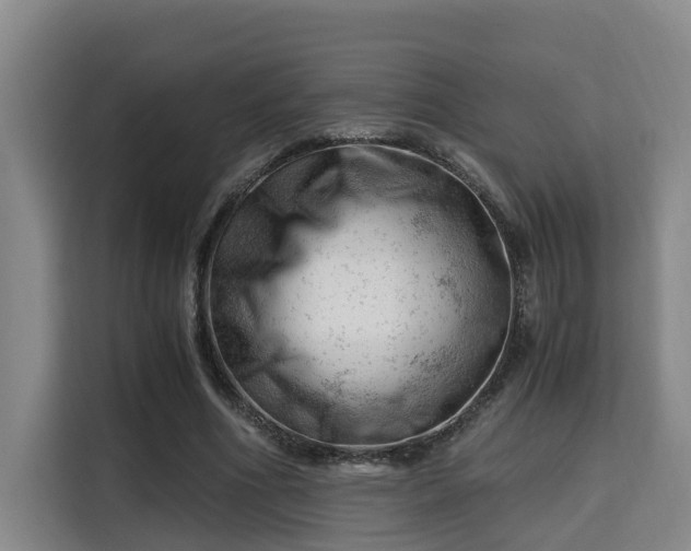 X0000115680586200911191055