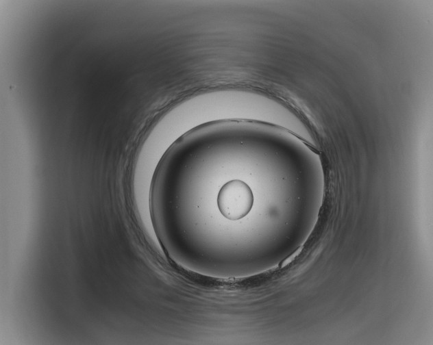 X0000115680589200911191055