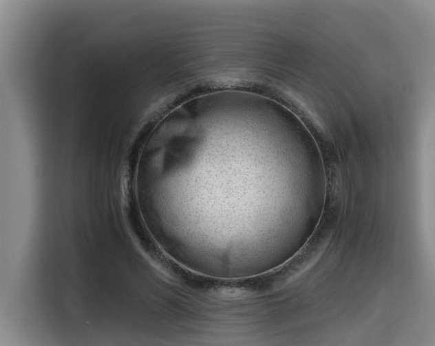 X0000115680590200911191055