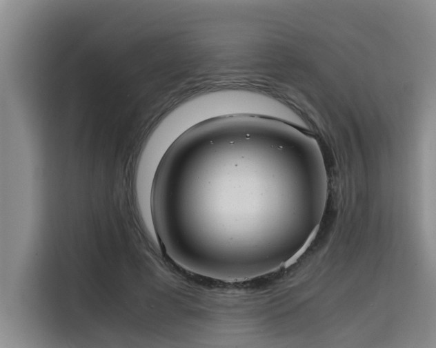 X0000115680593200911191055