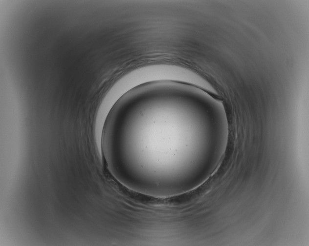 X0000115680595200911191055