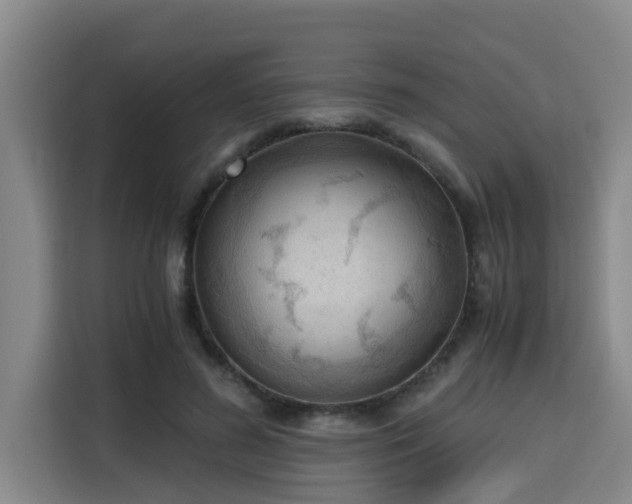 X0000115680596200911191055