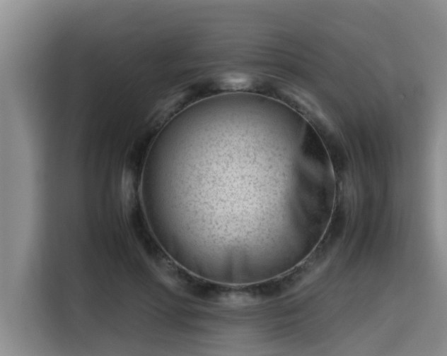 X0000115680598200911191055