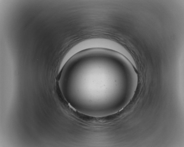 X0000115680599200911191055