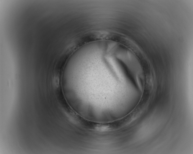 X0000115680602200911191055