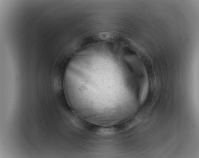 X0000115680606200911191055