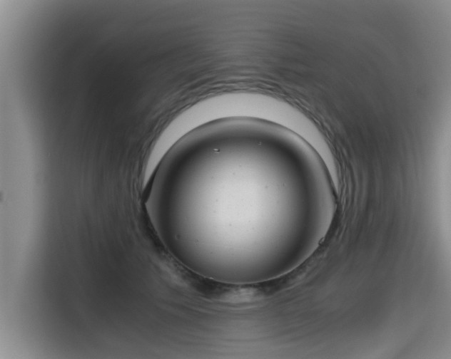 X0000115680609200911191055