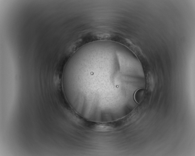 X0000115680614200911191055