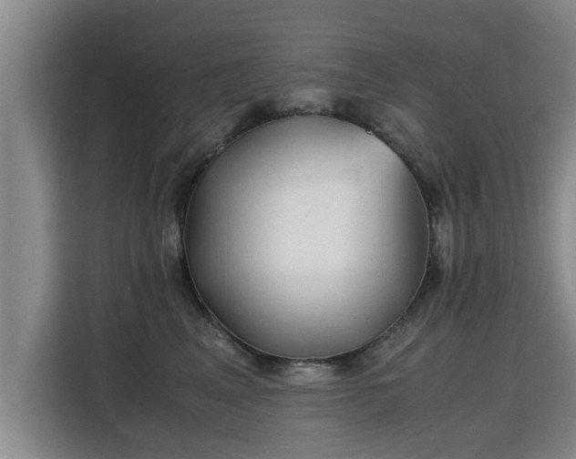 X0000115680617200911191055