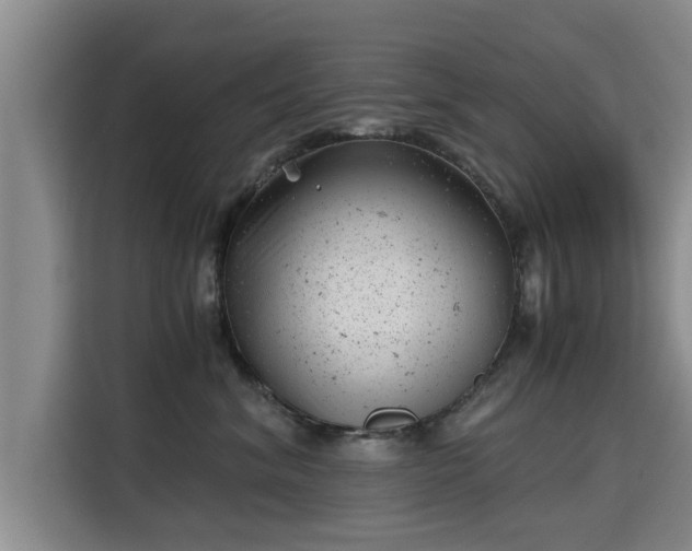 X0000115680620200911191055