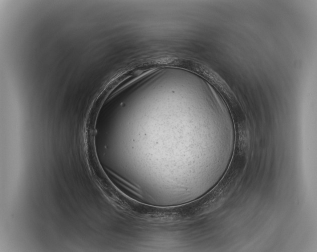 X0000115680626200911191054