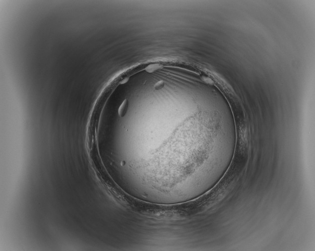 X0000115680628200911191054