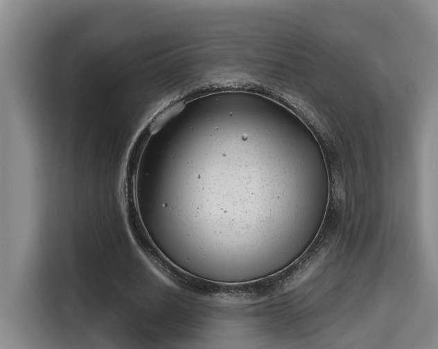 X0000115680630200911191054