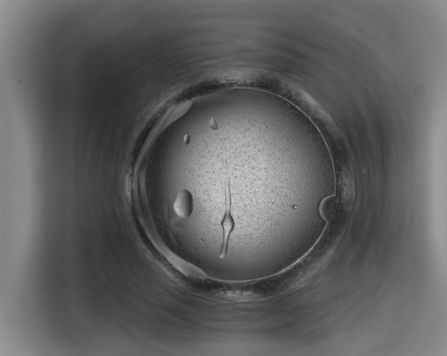 X0000115680637200911191054