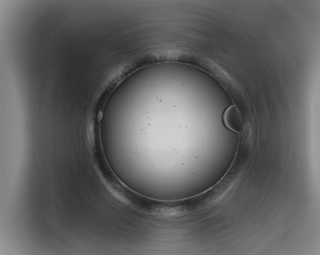 X0000115680638200911191054