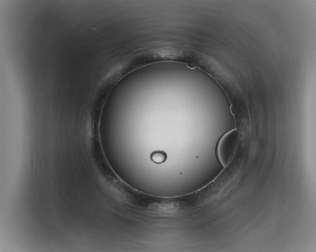 X0000115680639200911191054