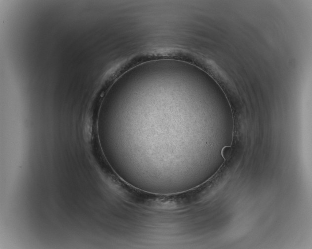 X0000115680640200911191054