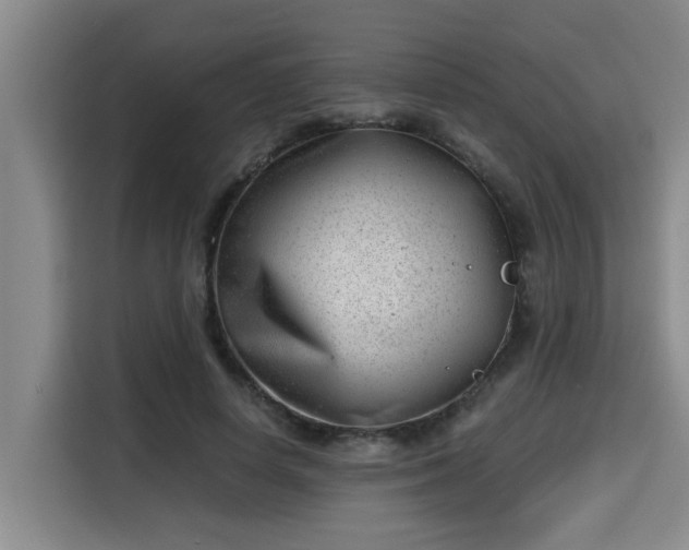 X0000115680642200911191054