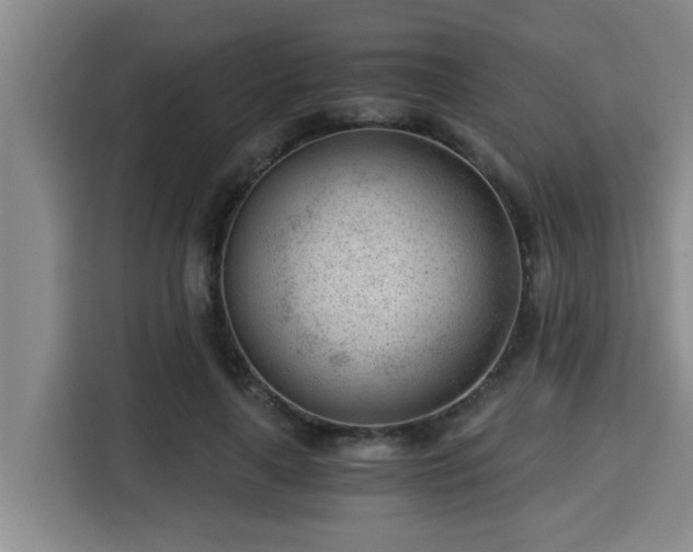 X0000115680643200911191054