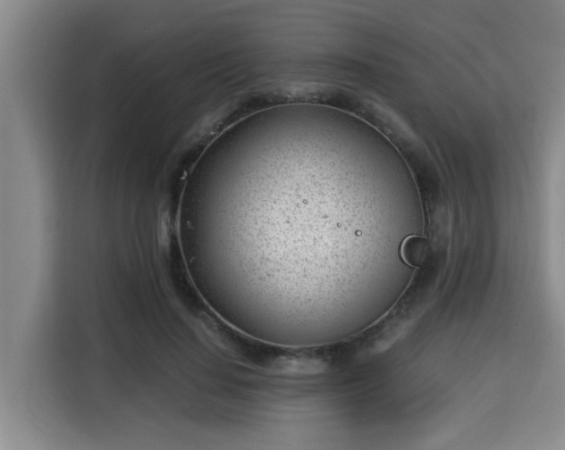 X0000115680644200911191054