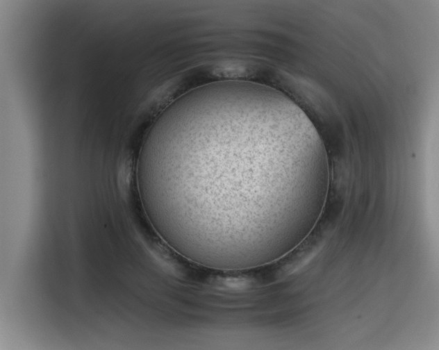 X0000115680645200911191055