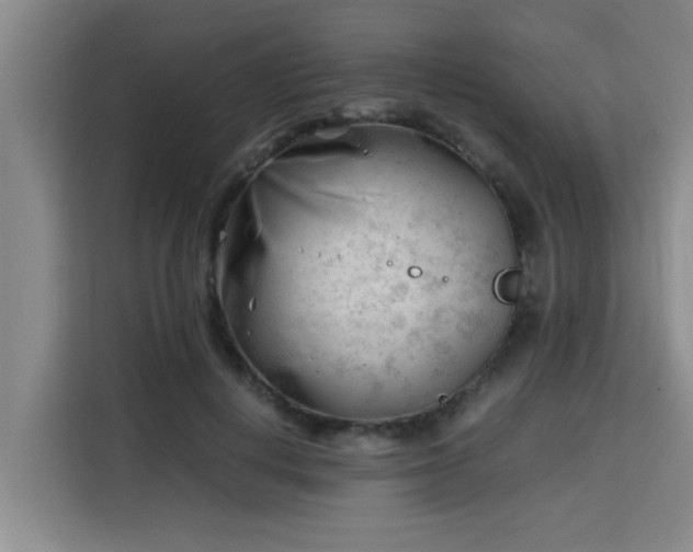 X0000115680648200911191055