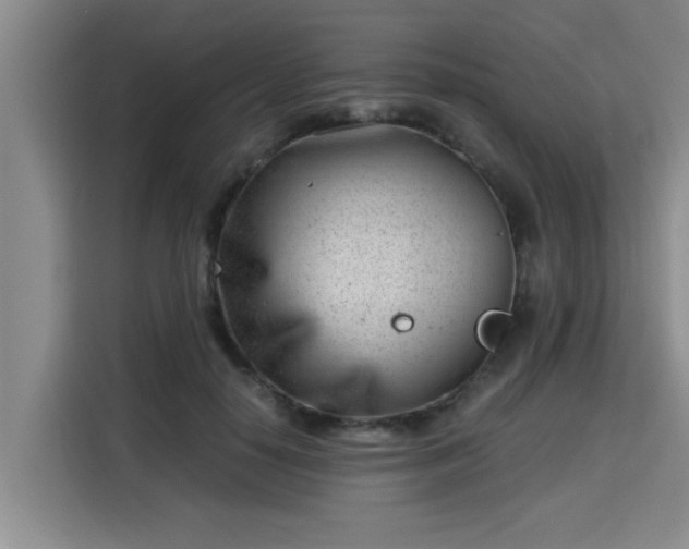 X0000115680650200911191055