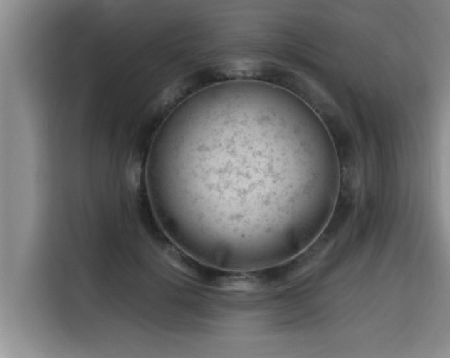 X0000115680652200911191055