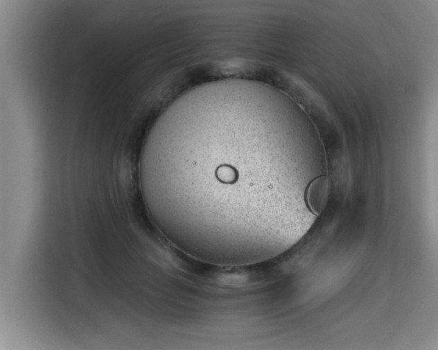 X0000115680653200911191055