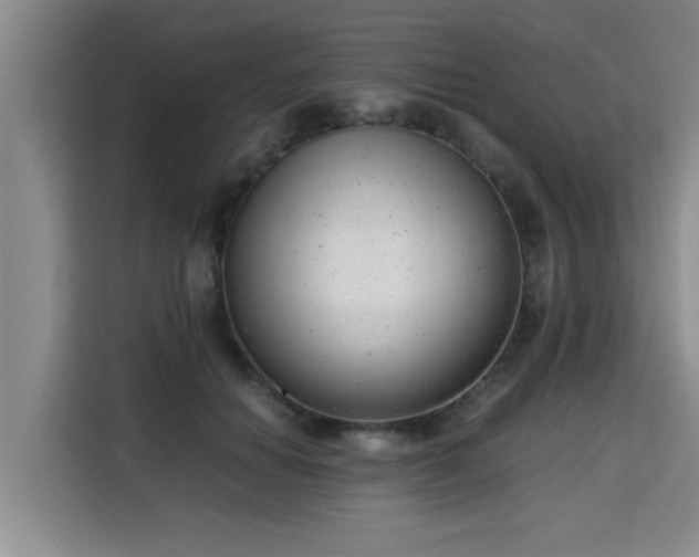 X0000115680654200911191055