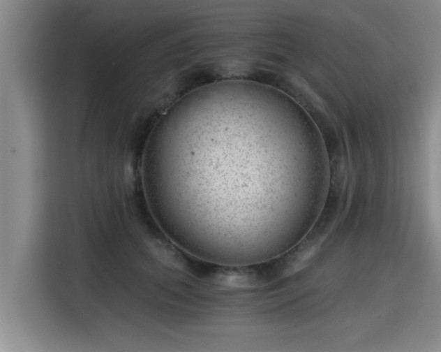 X0000115680655200911191055