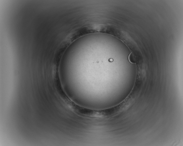 X0000115680656200911191055