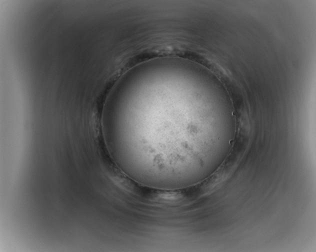 X0000115680659200911191055