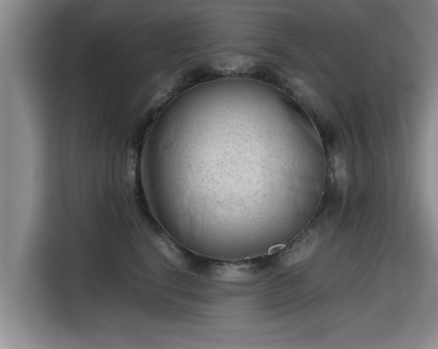 X0000115680664200911191055