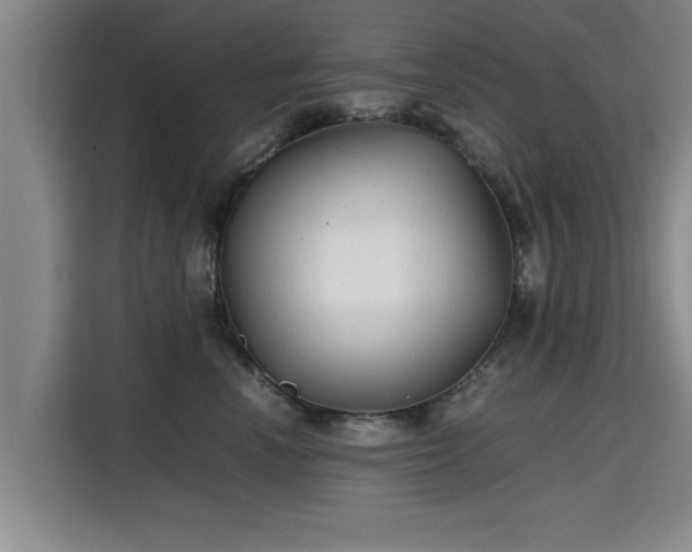 X0000115680666200911191055