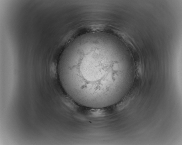 X0000115680667200911191055