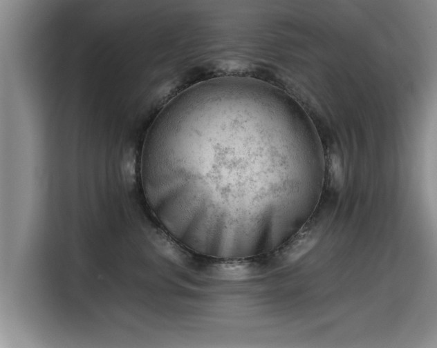 X0000115680668200911191055