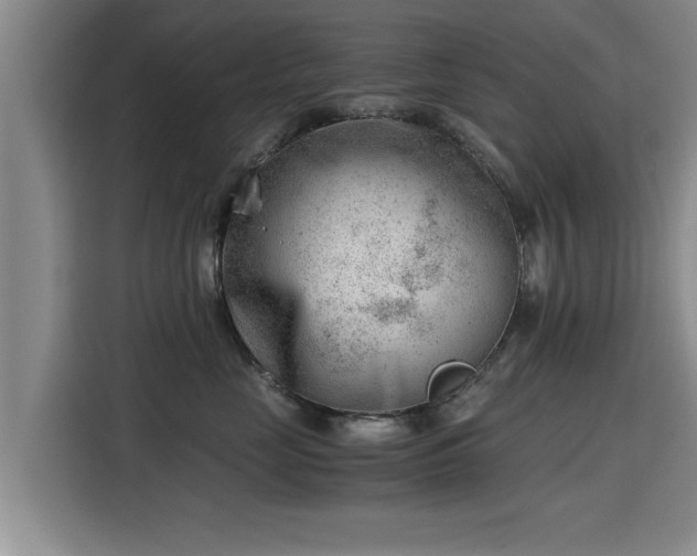 X0000115680669200911191055