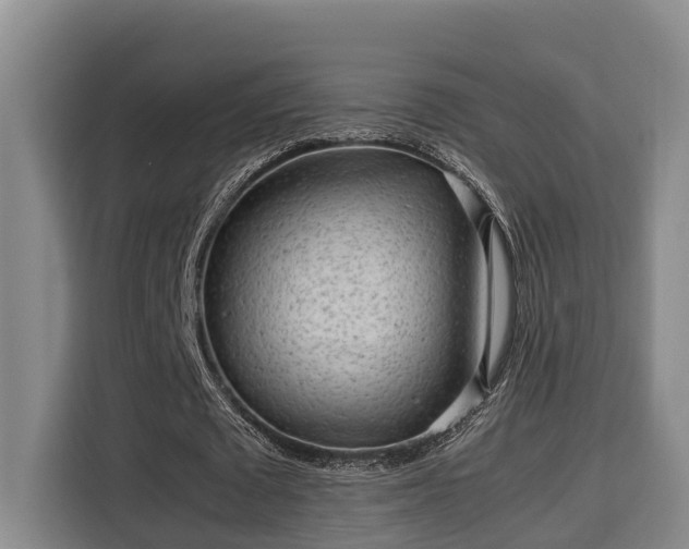 X0000115680673200911191054