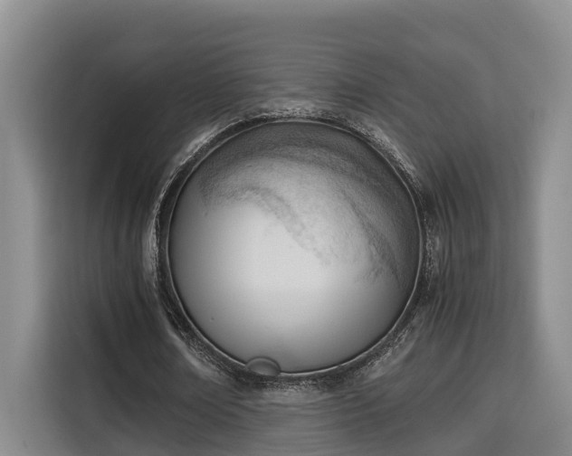 X0000115680674200911191054