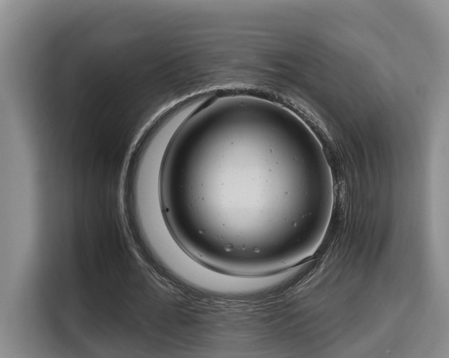 X0000115680676200911191054