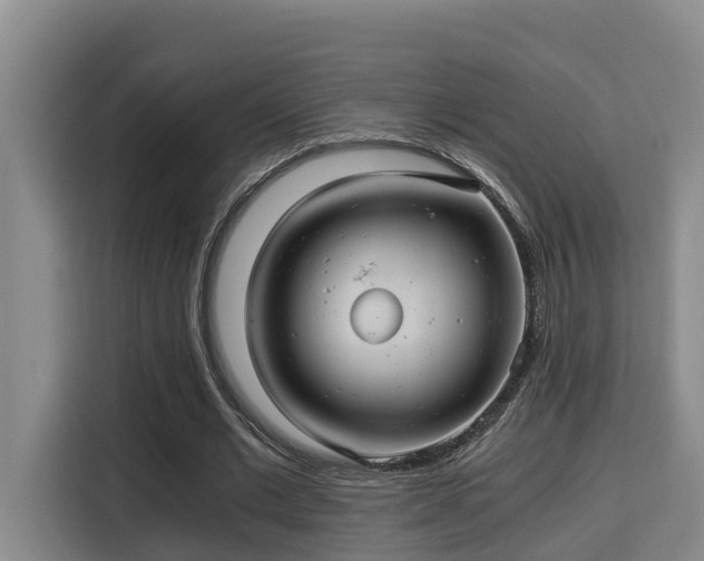 X0000115680677200911191054