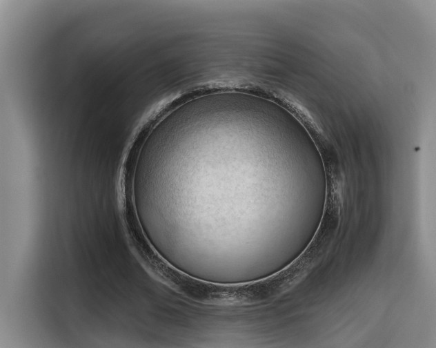 X0000115680678200911191054