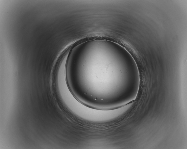 X0000115680680200911191054