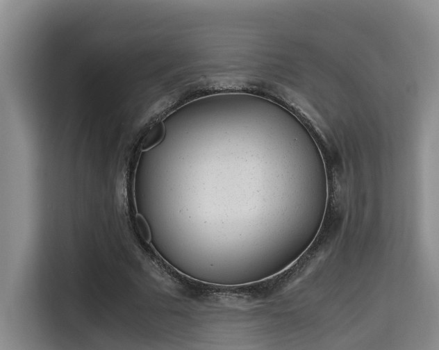 X0000115680681200911191054