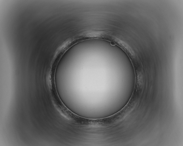 X0000115680682200911191054