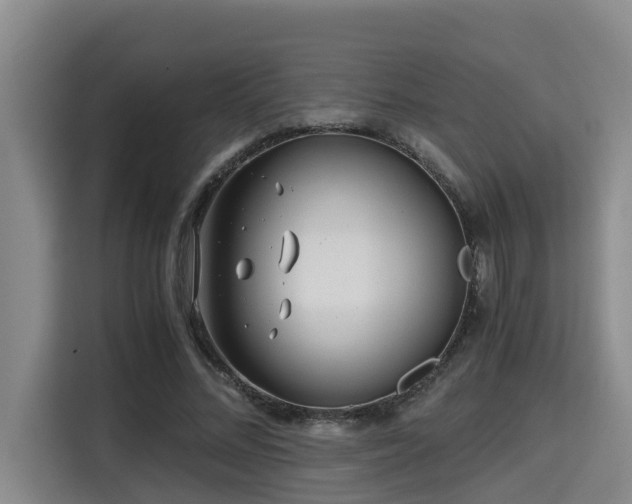 X0000115680684200911191054