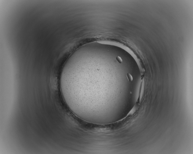 X0000115680689200911191054